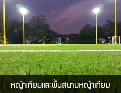 หญ้าเทียม และพื้นสนามหญ้าเทียม มีลักษณะคล้ายหญ้าจริง สามารถติดตั้งได้ง่าย ดูแลรักษาง่าย มีความทนทานสูง ใช้ได้ทั้งสนามฟุตบอล กอล์ฟ หรือ หญ้าเทียมตกแต่ง Landscape